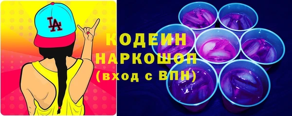 индика Богородск