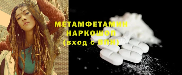 индика Богородск