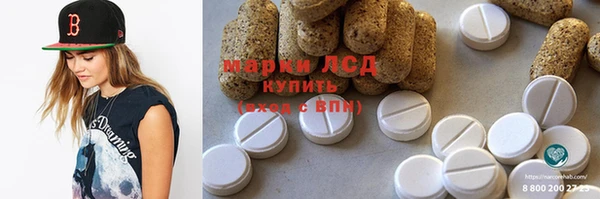 индика Богородск