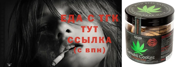 индика Богородск