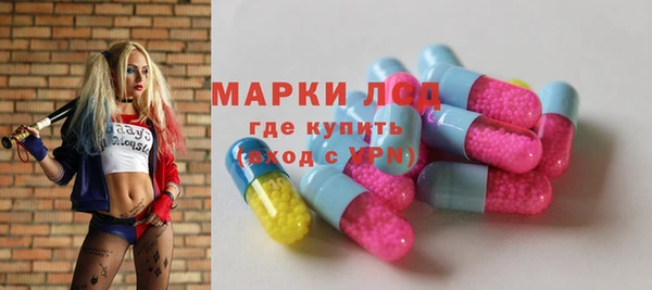 индика Богородск