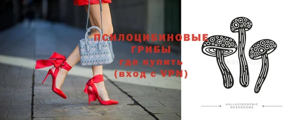 соль курить ск Богородицк