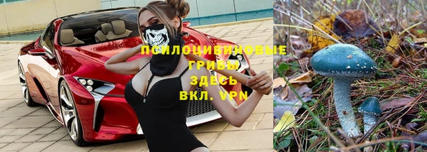 ПСИЛОЦИБИНОВЫЕ ГРИБЫ Бронницы