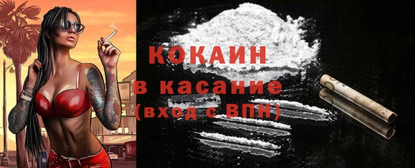 индика Богородск