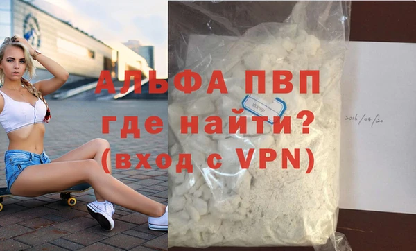 индика Богородск