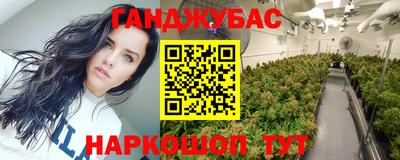 МДПВ Будённовск