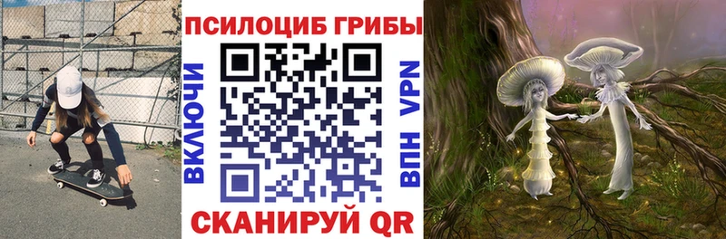 Псилоцибиновые грибы MAGIC MUSHROOMS  где можно купить   Балабаново 