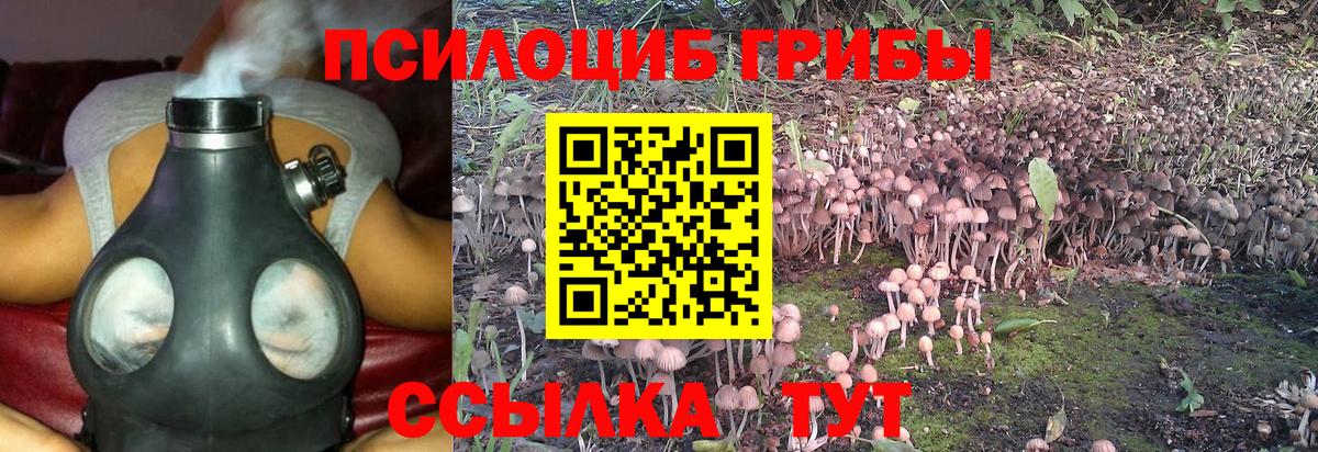 Галлюциногенные грибы прущие грибы Балабаново