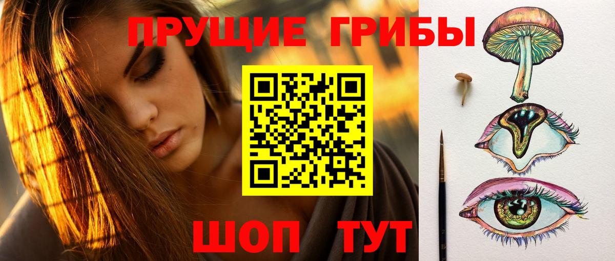 где продают   Галлюциногенные грибы Psilocybine cubensis  Балабаново  Псилоцибиновые грибы ЛСД 