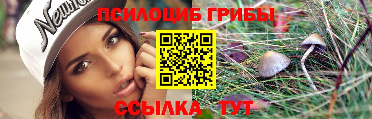 Псилоцибиновые грибы Psilocybine cubensis  Вход с VPN  Балабаново 